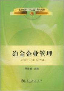 論冶金企業(yè)管理的現(xiàn)代化路徑與核心挑戰(zhàn)